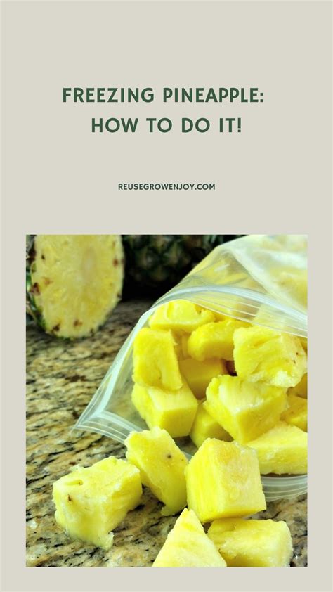Freezing Pineapple: How to Do It! in 2024 | Freezing food guide, Frozen ...