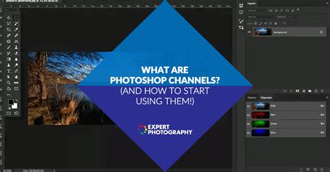 Image result for Photoshop Channels Tutorial
