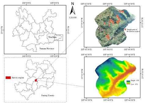 Individual Tree AGB Estimation of Malania oleifera Based on UAV-RGB ...