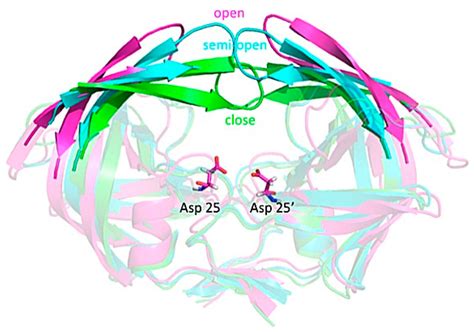 Catalysts | Special Issue : Enzyme Catalysis