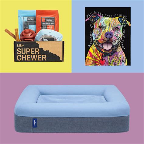 The 60 Best Dog Lover Gifts 2021 — Dog Gifts for Pups and Their Owners