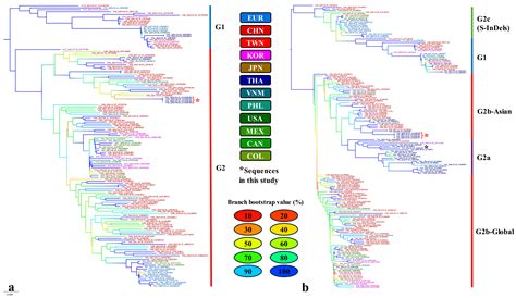 Detection and Phylogenetic Analysis of an Exotic Strain of Porcine ...