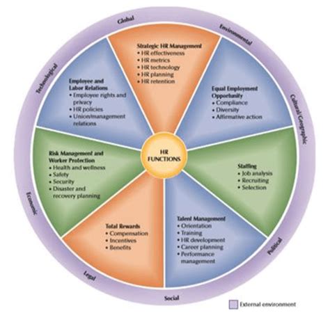 Human Resources Function 的图像结果