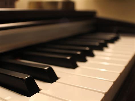 Image result for Piano Roblox Corpse Bride