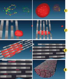 science & Technology - Briefs