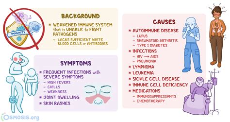 How Does The Immune System Weaken With Age at Barbara Slye blog