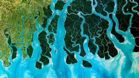 Image result for Delta PCO2