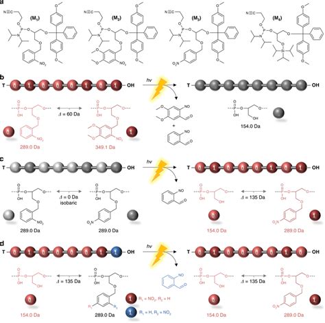 Monomer and polymer design. a Molecular structures of the different ...