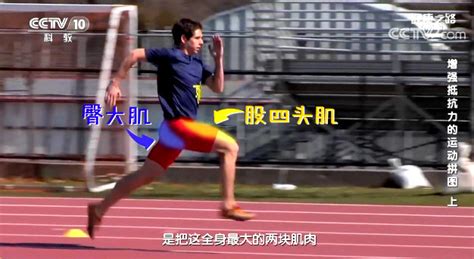 【名医话健康】跑步可提高心肺功能 但你真的会跑吗？_健康_央视网(cctv.com)