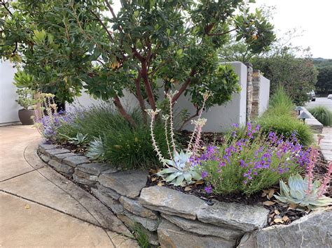 Native Plants Central Coast California at Joy Herman blog