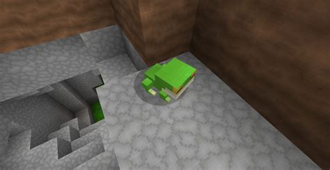 Image result for Minecraft Frog Mod