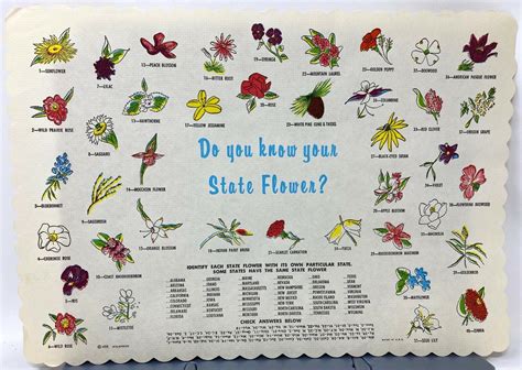 Vintage 1956 United States State Flower Symbols Restaurant Paper ...