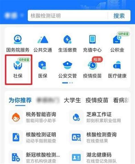 2021会计实操：用人单位社保费缴费证明开具操作指南 超实用 | 考呀呀会计网校