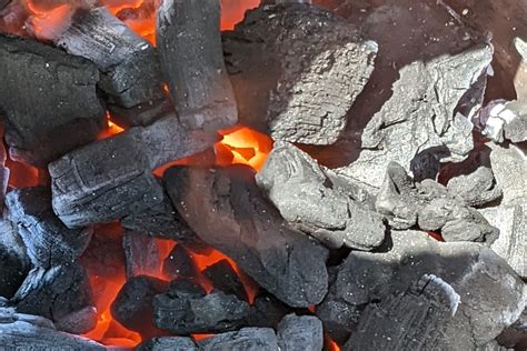 Royal Oak Charcoal Joins Whole Earth Brands, Forms CPG Group Sweet Oak ...