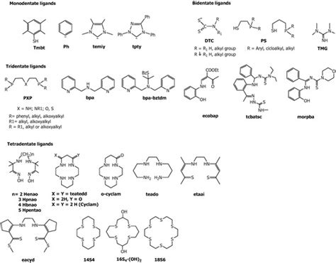 Nitrido Technetium-99 m Core in Radiopharmaceutical Applications: Four ...