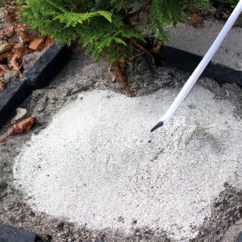 How To Use Diatomaceous Earth In Your Garden at Emma Ake blog