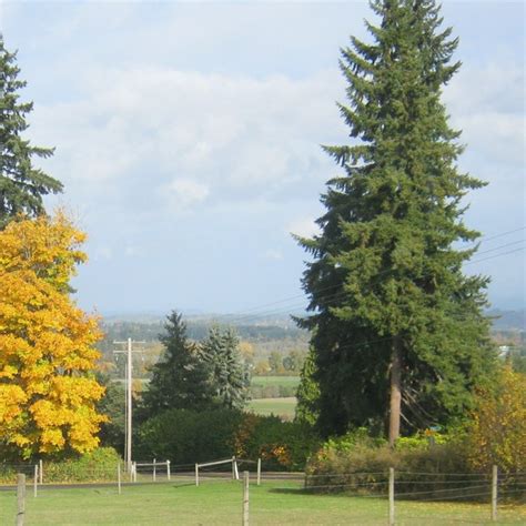 Image result for How to Repair Micro Torch