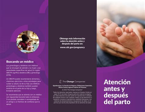 Prenatal and Postnatal Care Pamphlet - SPANISH – The Change Companies