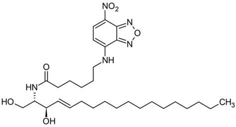 The Design and Optimization of Ceramide NP-Loaded Liposomes to Restore ...