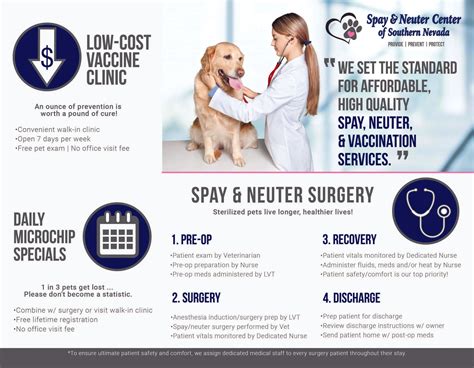 Spay & Neuter Services | The Spay & Neuter Center | Las Vegas,