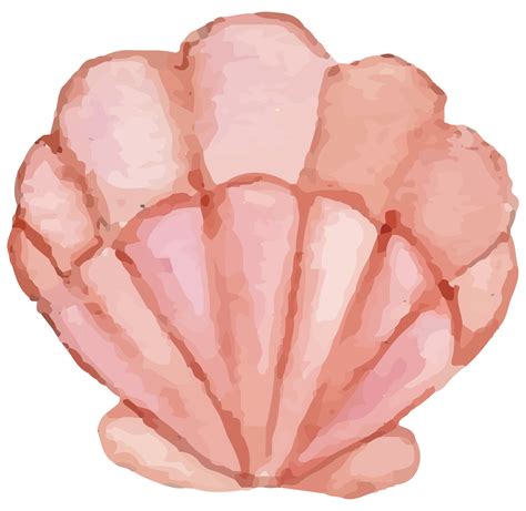 Image result for Shell Transparent