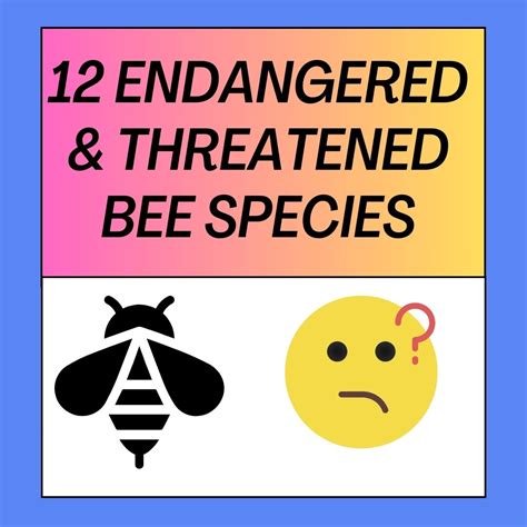 12 Endangered And Threatened Bee Species You Must Know!