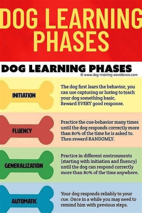 Image result for Dog Learning