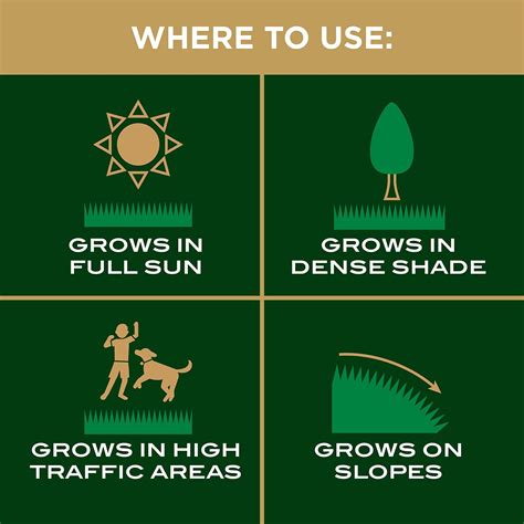 Buy Scotts EZ Seed Patch & Repair Tall Fescue Lawns, Combination Mulch ...