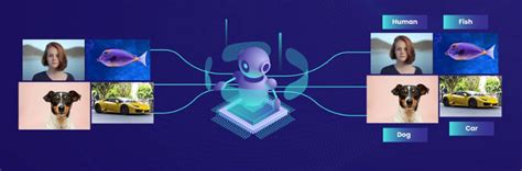 Image result for Machine Learning Image Classification