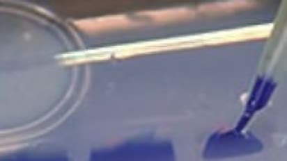 Biotechnology Projects 的图像结果