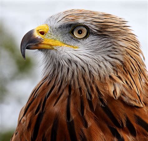 KEEN EYE by Margaret Warren | Marlow Camera Club