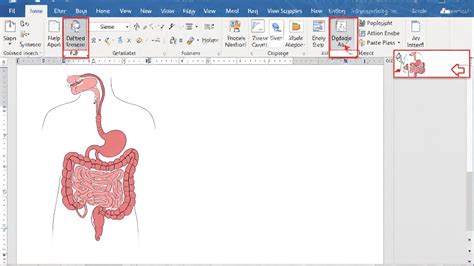 Image result for Diffusion Digestive System