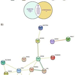 String Spring 的图像结果