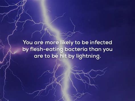 Image result for Fun Facts General Knowledge