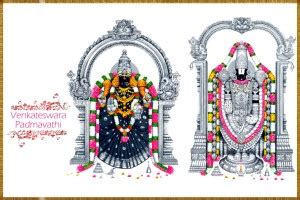 Tirupati-Balaji Padmavati Paper Wall Poster Without Frame Paper Print ...