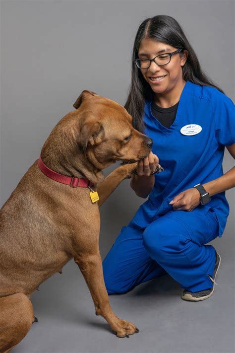 Meet Our Team — Naperville Area Humane Society