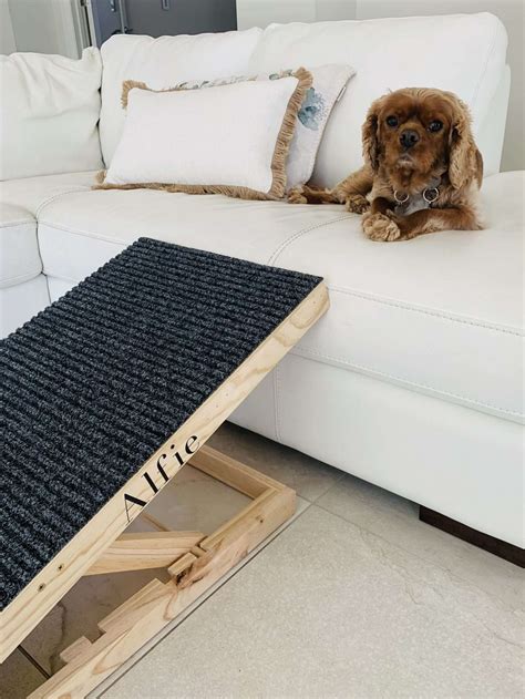 The Dog Ramp Co. Australia's Favourite Dog Ramps & Dog Steps