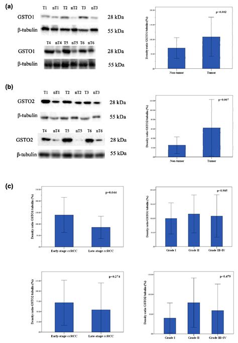 GSTO1*CC Genotype (rs4925) Predicts Shorter Survival in Clear Cell ...
