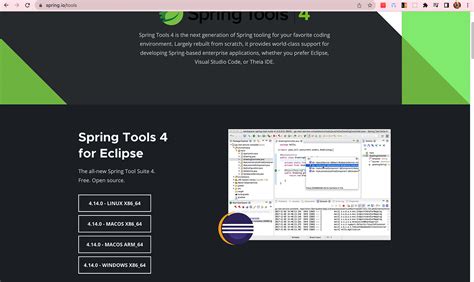 Image result for Spring Tool Suite