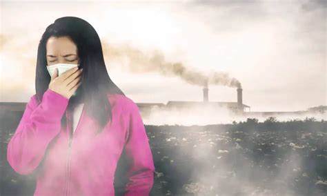 Air pollution and multimorbidity increase risk of atrial fibrillation ...