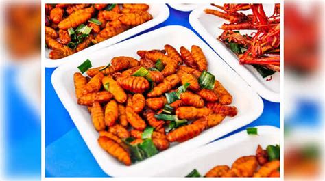 10 Insects that are popular delicacies around the world