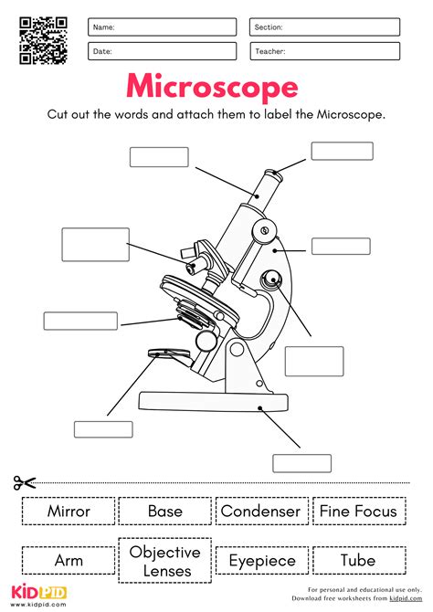 Image result for Science Microscope