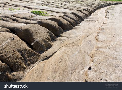 Negative Effects Of Overgrazing Greentumble Assessment of the Effects ...