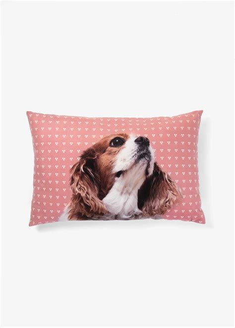 Curly Spaniel Scatter Cushion 60x40cm | Woolworths.co.za