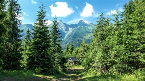 mountains, forest, trees Wallpaper, HD Nature 4K Wallpapers, Images and Background - Wallpapers Den