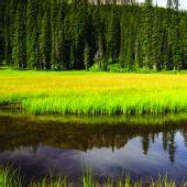 Image result for GUI Layout Design