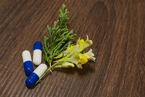 Image result for Powder Compounding