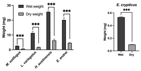 The Glacier Ice Worm, Mesenchytraeus solifugus, Elevates Mitochondrial ...