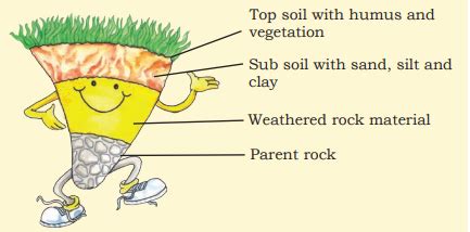 SATHEE: Chapter 02 Land, Soil, Water, Natural Vegetation and Wildlife ...