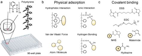 Image result for Elisa Protocol Blocking Buffer